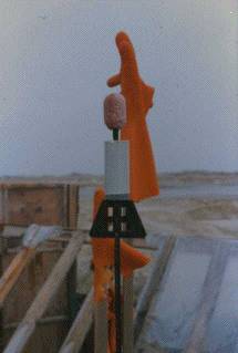 photo from gallery